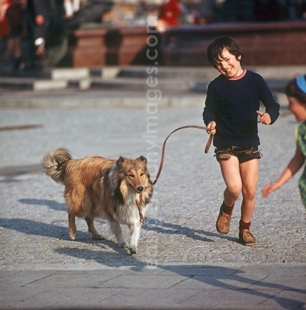 GDR image archive: Berlin - Ein Junge spielt mit seinem Hund am Berliner Neptunbrunnen. Auch in der DDR kannte jedes Kind den Kult-Collie Lassie und träumte davon, einen solchen Hund zu besitzen.