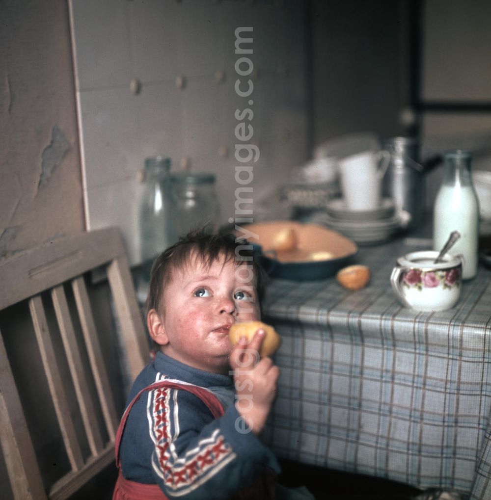 GDR picture archive: Leipzig - Ein kleiner Junge isst in der Küche einen Apfel.