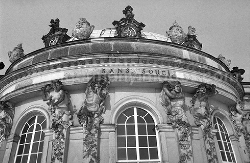 GDR picture archive: Potsdam - Sandstone statues of the sculptor Friedrich Christian Glume in the form of Bacchantes at Sanssouci Palace in Potsdam