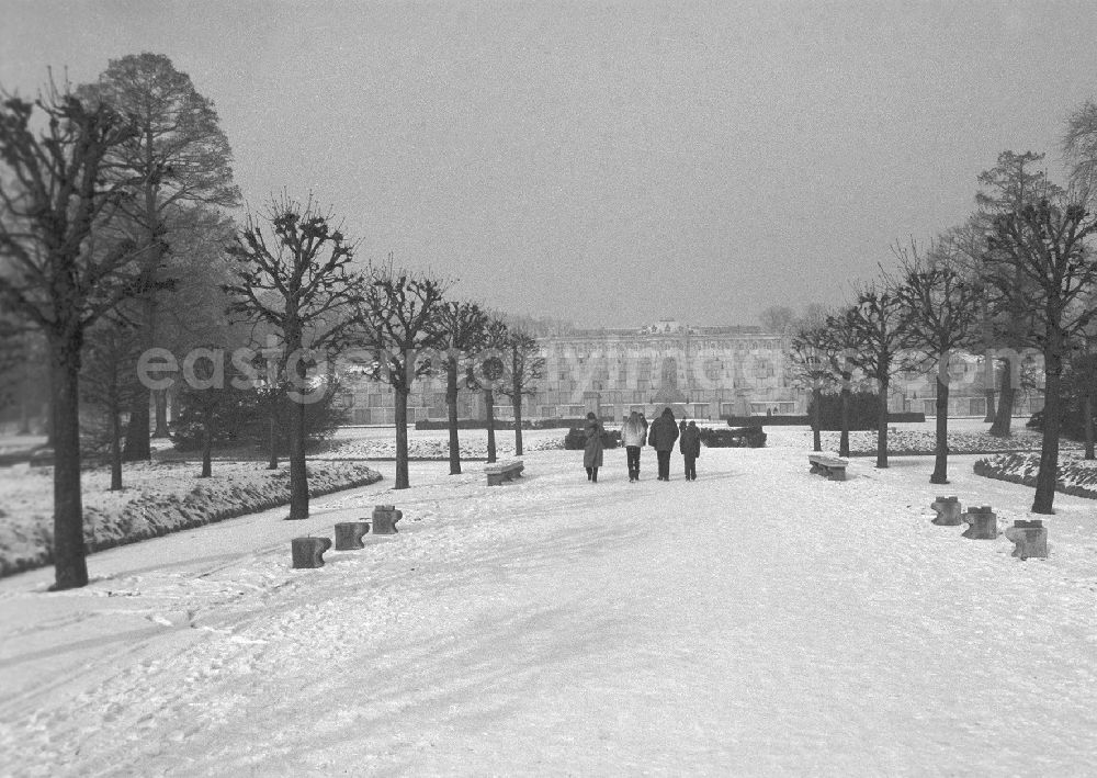 GDR picture archive: Potsdam - Park and terraced vineyards at Sanssouci Palace in Potsdam
