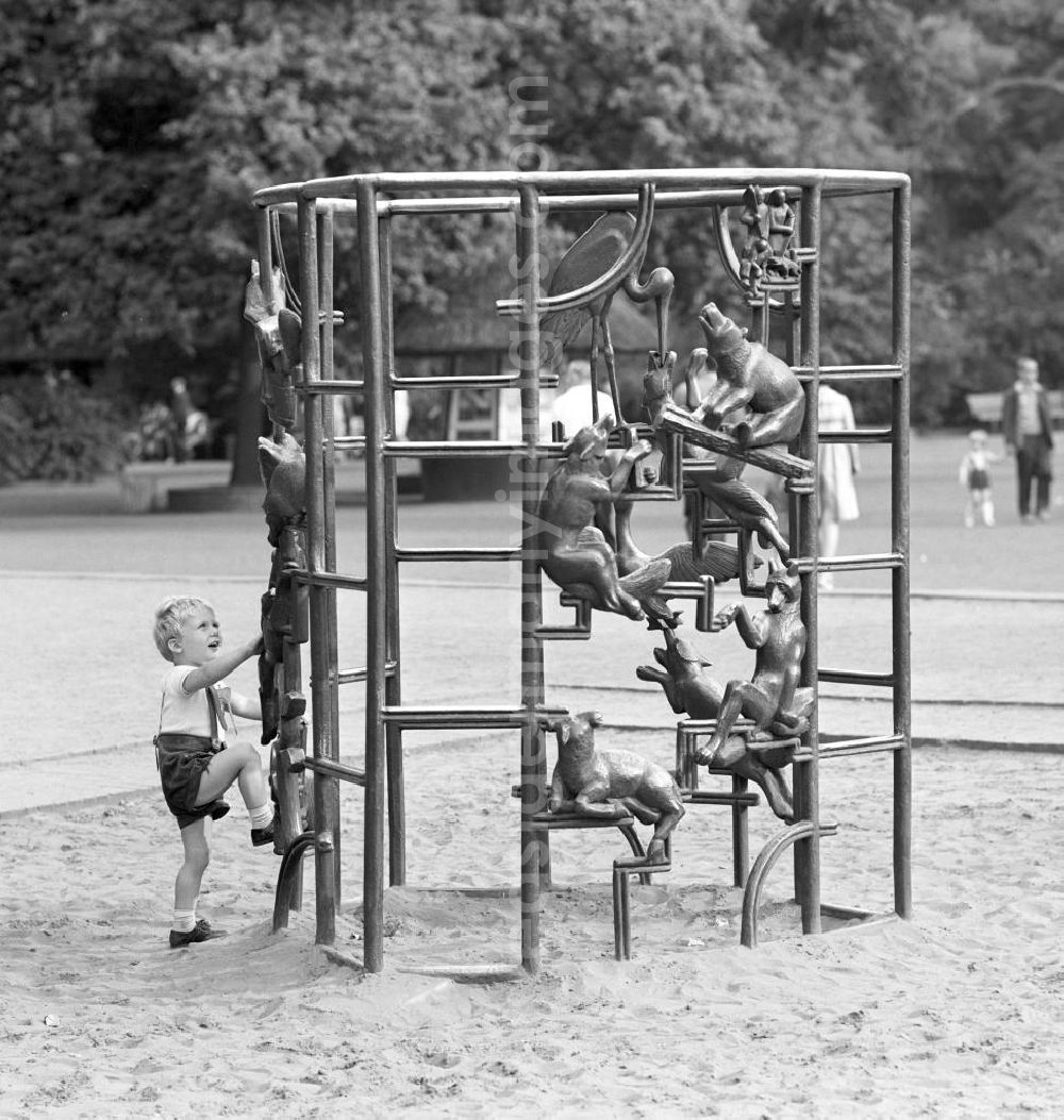 Berlin: Ein Junge klettert im Tierpark Berlin-Friedrichsfelde an einem mit Tieren gestalteten Klettergerüst. Das Klettergerüst steht noch heute dort.