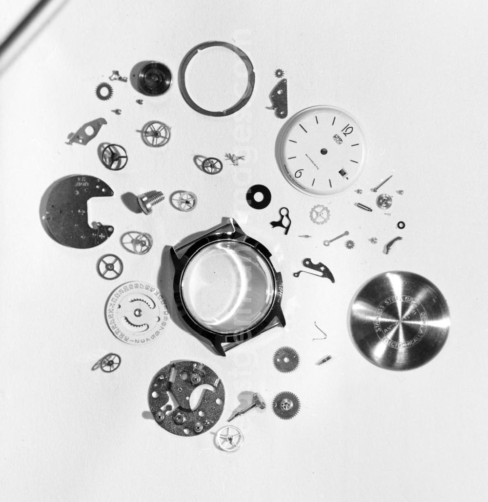 GDR photo archive: Ruhla - Blick auf die Einzelteile einer zerlegten Armbanduhr aus dem VEB Uhrenwerke Ruhla.