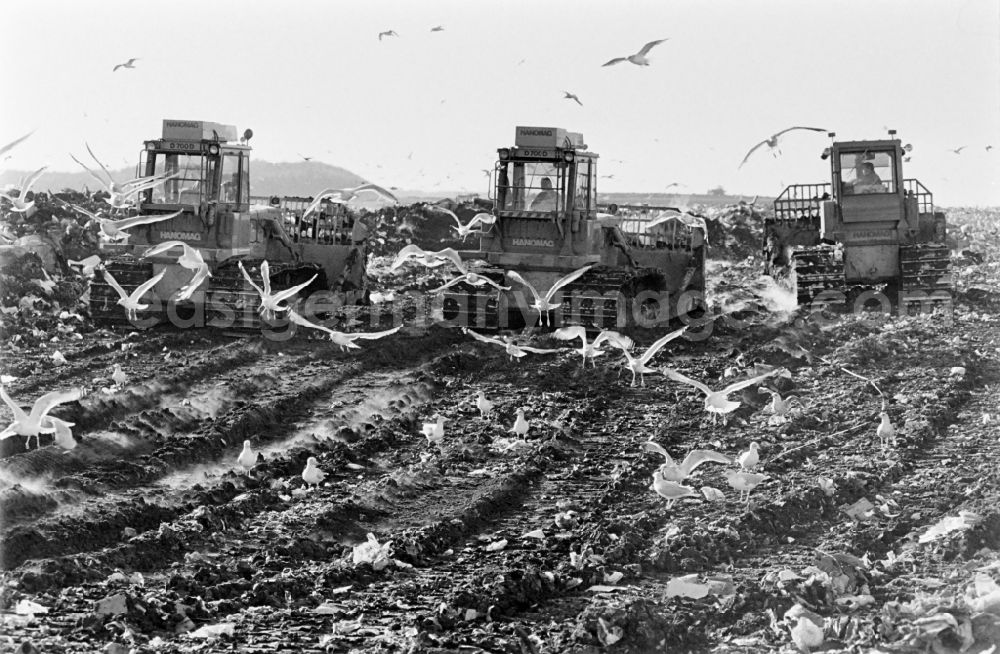 GDR picture archive: Selmsdorf - Seagulls fly over the waste dump of the Ihlenberg landfill, former VEB landfill Schoenberg in Selmsdorf in the state Mecklenburg-Western Pomerania
