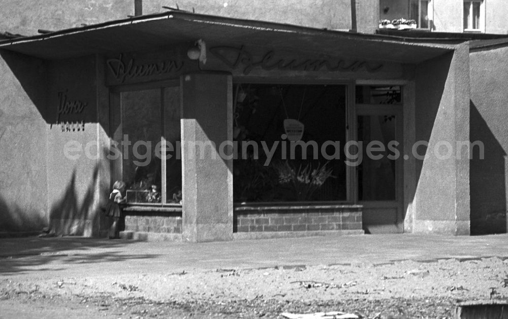 GDR picture archive: Magdeburg - The Flower Shop Flora Hall in Magdeburg in Saxony - Anhalt