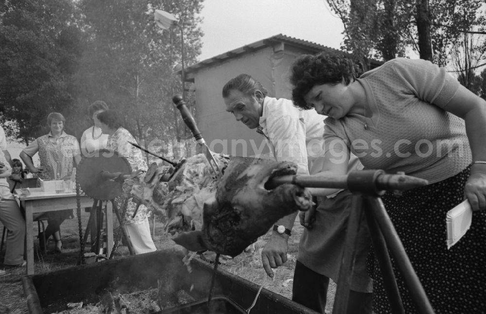 GDR image archive: Schönwalde-Glien - Residents and guests as participants in the events on the occasion of a village festival in Schoenwalde-Glien, Brandenburg on the territory of the former GDR, German Democratic Republic