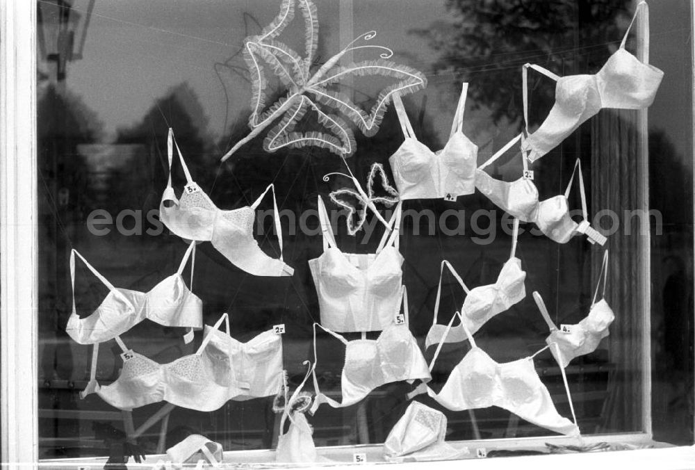 GDR picture archive: Dresden - In einem Schaufenster eines Miederwarengeschäftes in Dresden wird die neueste Wäschemode zu günstigen Preisen präsentiert.