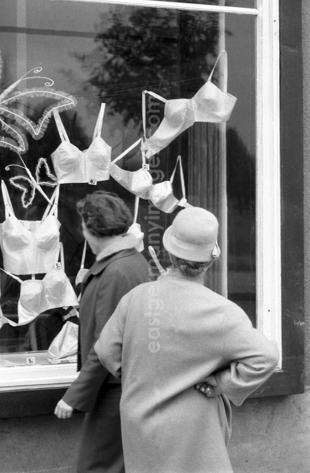 GDR photo archive: Dresden - Zwei Frauen blicken in ein Schaufenster eines Miederwarengeschäftes in Dresden, in dem die neueste Wäschemode zu günstigen Preisen präsentiert wird.