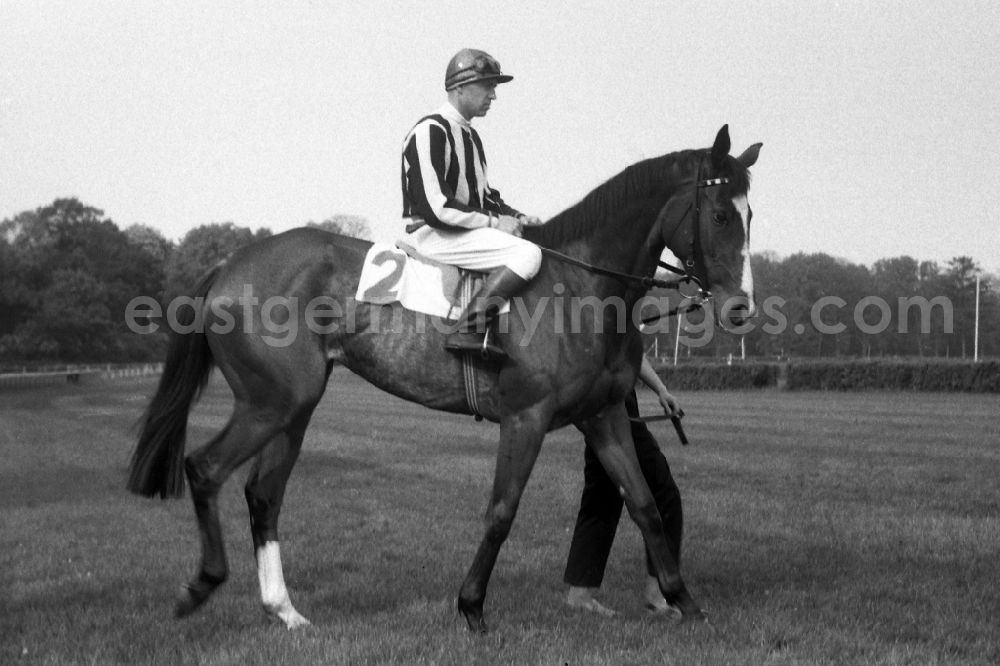 GDR image archive: Hoppegarten - Amatia with Egon Czaplewski after winning the Kincsem race at Hoppegarten racecourse in the state Brandenburg on the territory of the former GDR, German Democratic Republic