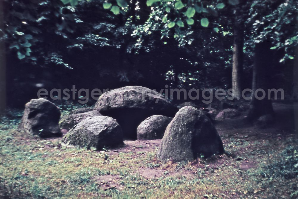 GDR image archive: Garz/Rügen - A grave in the forest in Garz/Ruegen in the GDR