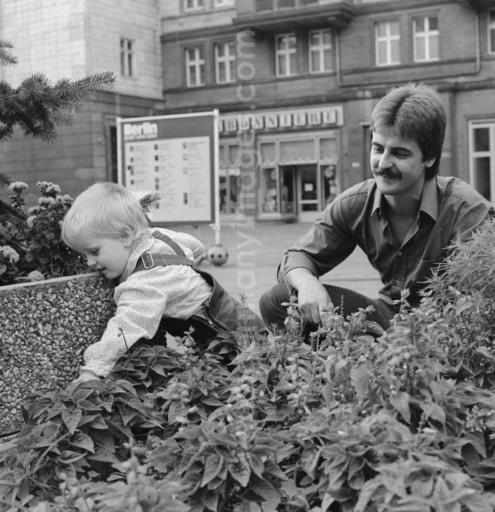 GDR image archive: Berlin - A father is holding his child in front of a flower bed in the Karl-Marx-Allee in Berlin, the former capital of the GDR, the German Democratic Republic