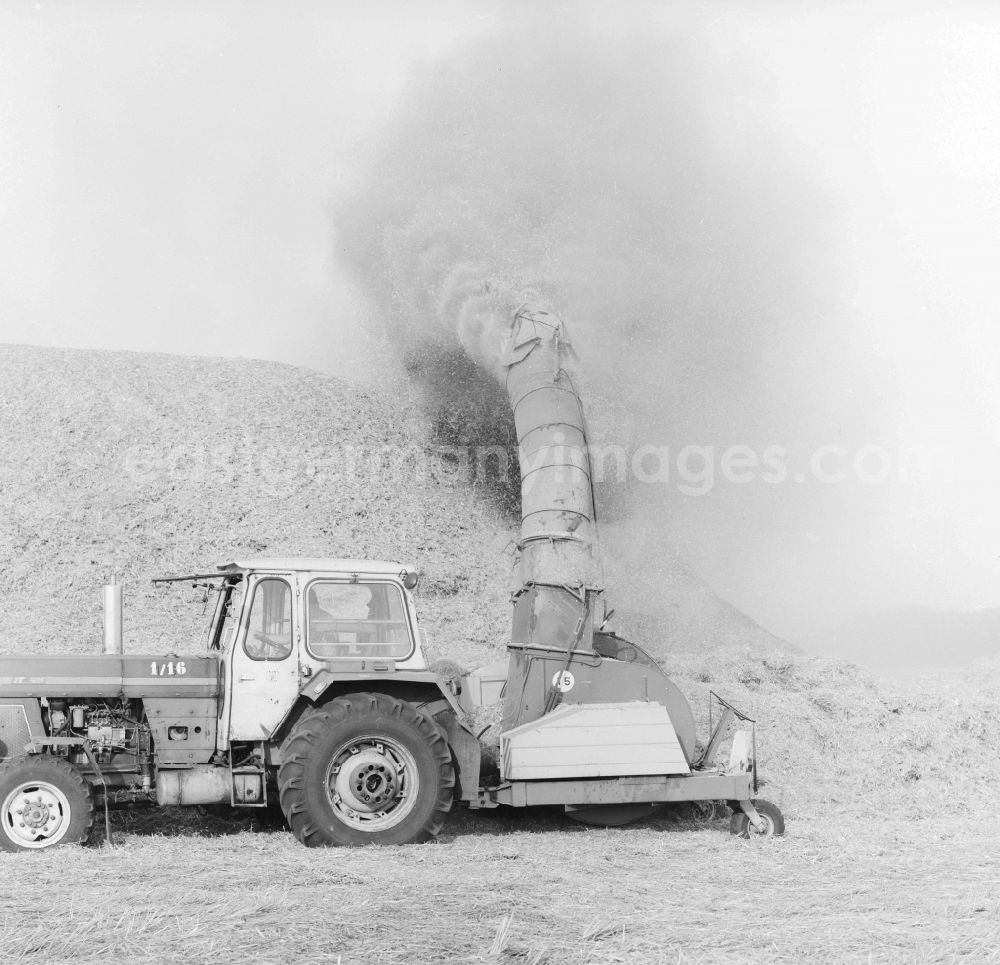 GDR image archive: Rathenow - A harvester in action in a field in Trittsee / Klietz in Rathenow in Brandenburg on the territory of the former GDR, German Democratic Republic