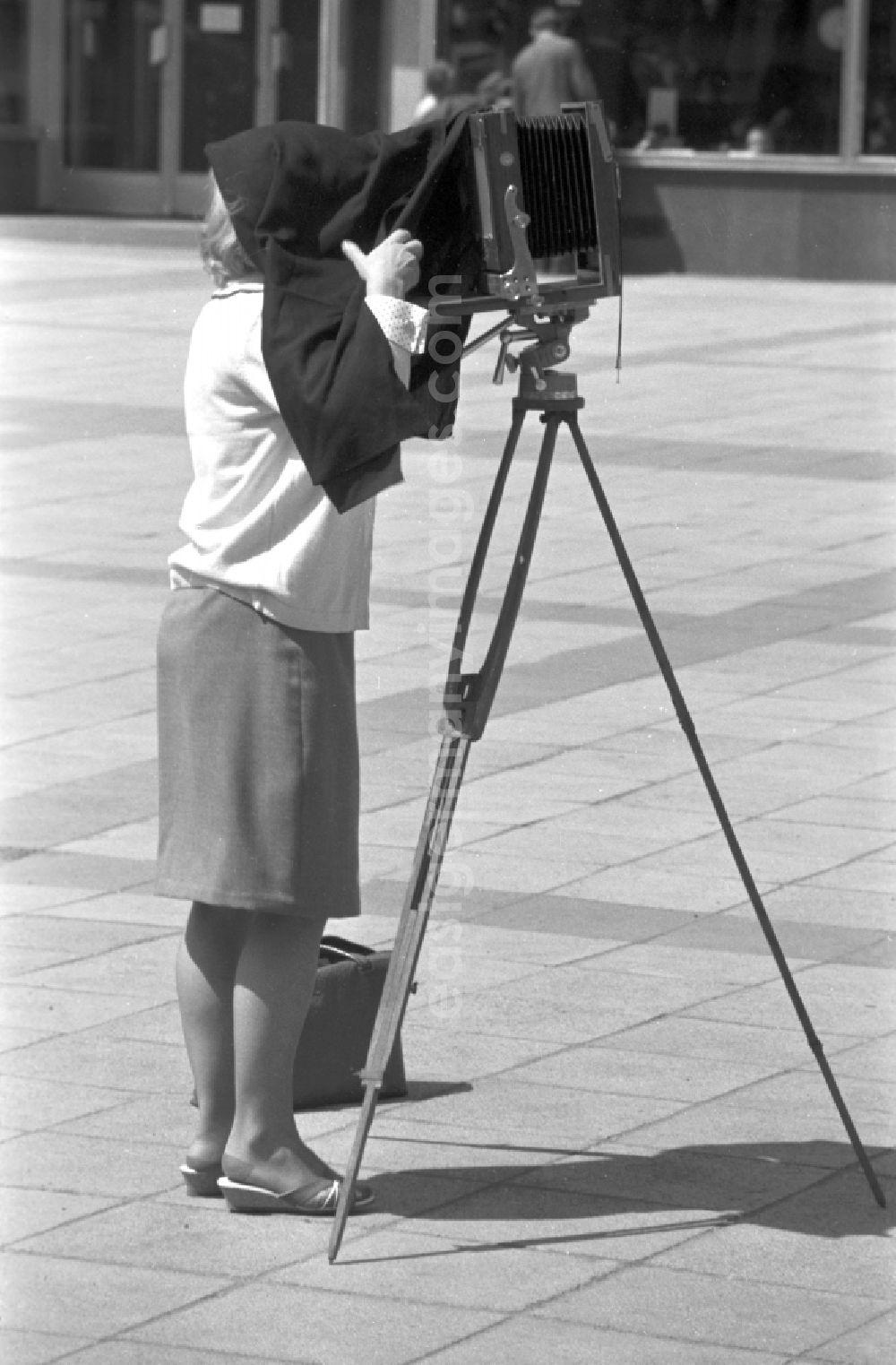 GDR image archive: Magdeburg - A woman photographed with a plate camera on a wooden tripod in Magdeburg