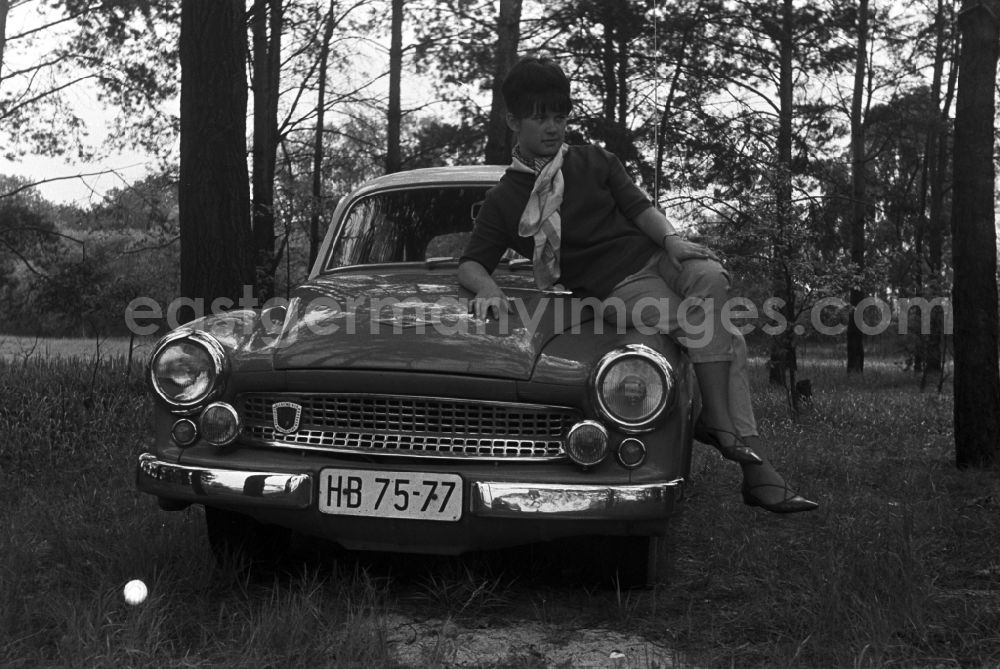 Malge: A Wartburg 311 of the automotive plant in Eisenach Malge in Brandenburg. It was produced from 1955 to 1965. Here posing a woman on the hood of the vehicle