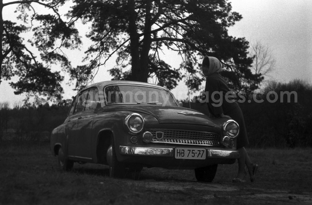 GDR image archive: Malge - A young woman posing on a Wartburg 311 in Malge in Brandenburg