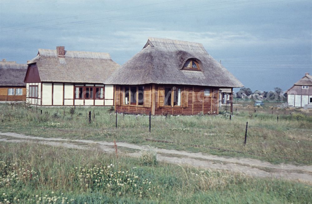 GDR image archive: Born a. Darß - Facade and grounds of a single-family homeas a holiday home with a thatched roof in Born a. Darss, Mecklenburg-Western Pomerania on the territory of the former GDR, German Democratic Republic