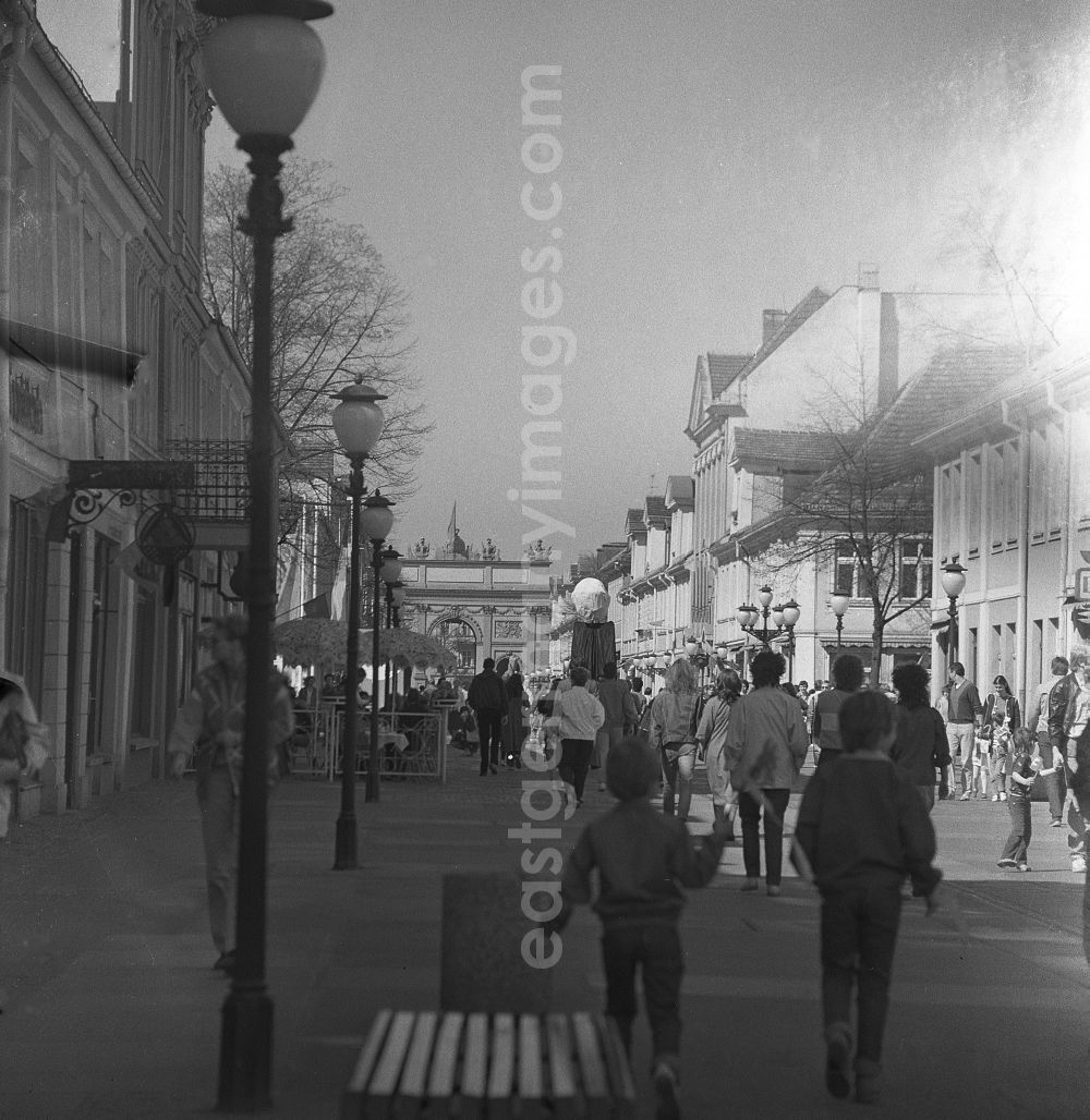 GDR image archive: Potsdam - Tourist attraction, strolling and shopping street Brandenburger Strasse in the district Innenstadt in Potsdam in the state Brandenburg on the territory of the former GDR, German Democratic Republic