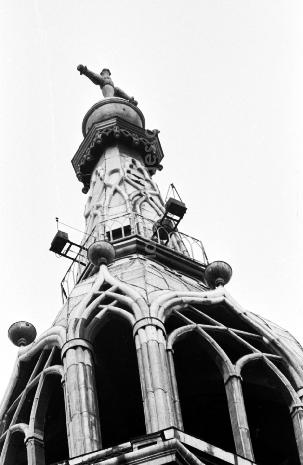GDR photo archive: Berlin-Mitte - Einsetzen von Jungfalken im Turm der Marienkirche durch Greifvogelschutz beim Magistrat von Berlin 21.