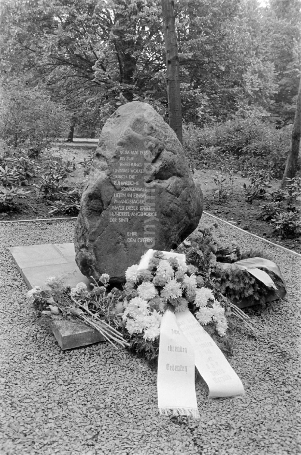 GDR image archive: Berlin - Participants at the inauguration of the memorial for the Sinti victims at the Marzahner Parkfriedhof in Berlin on the territory of the former GDR, German Democratic RepublicGedenkstaette