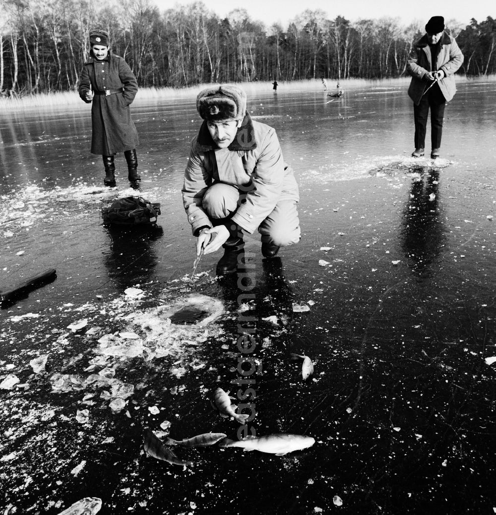 GDR image archive: Zossen - Ice fishing on the frozen Motzener See in Zossen in the federal state Brandenburg on the territory of the former GDR, German Democratic Republic