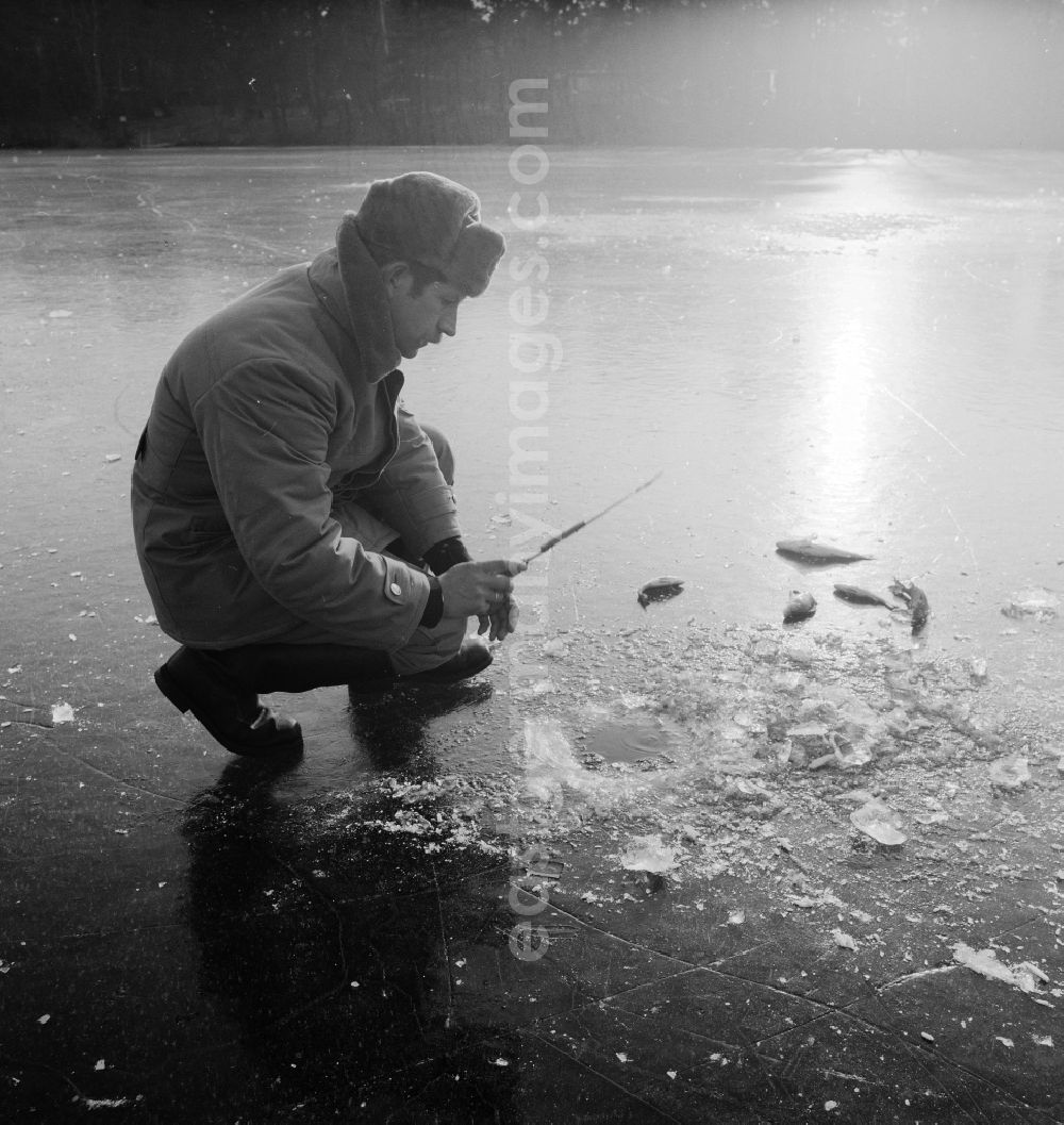 GDR photo archive: Zossen - Ice fishing on the frozen Motzener See in Zossen in the federal state Brandenburg on the territory of the former GDR, German Democratic Republic