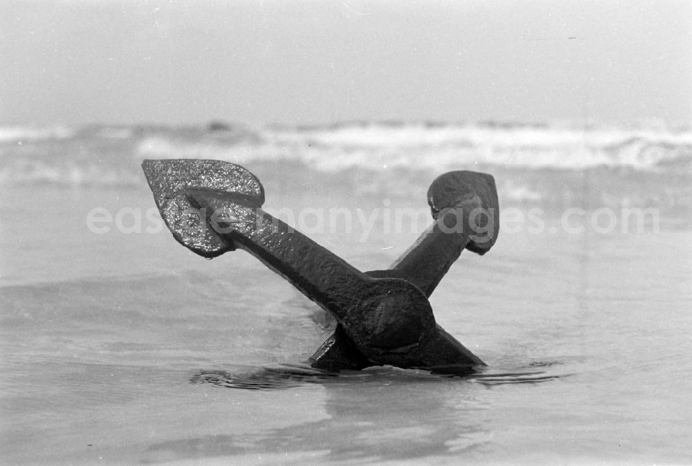 GDR picture archive: Prerow - Iron anchor kedge on the baltic sea coast in Prerow in the state Mecklenburg-Western Pomerania on the territory of the former GDR, German Democratic Republic
