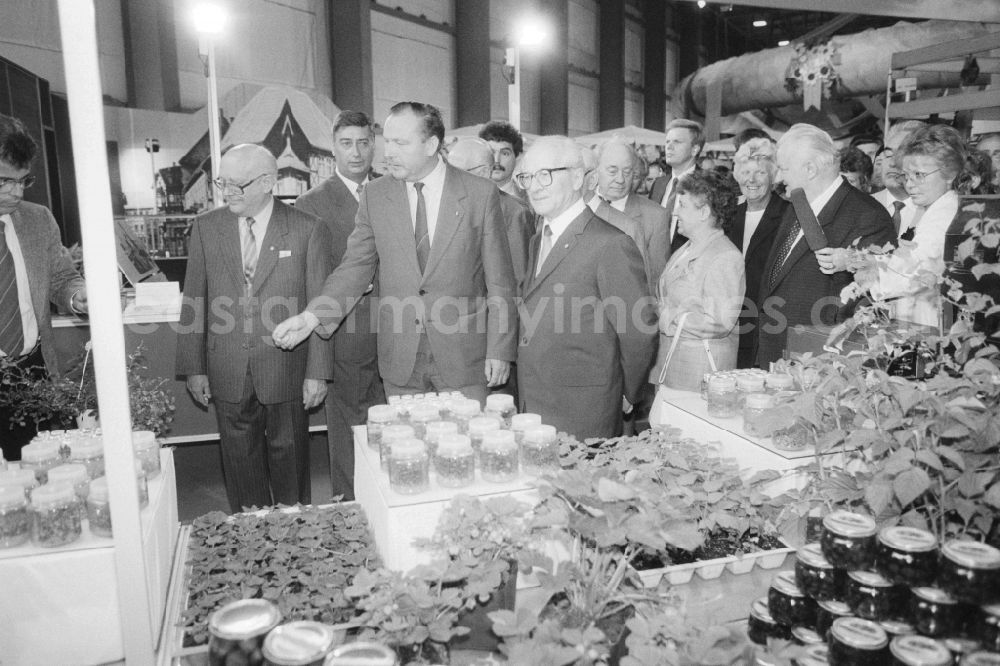 GDR photo archive: Markkleeberg - Erich Honecker (1912 - 1994) at the opening of the agricultural exhibition AGRA 89 in Markkleeberg in Saxony in the area of the former GDR, German Democratic Republic
