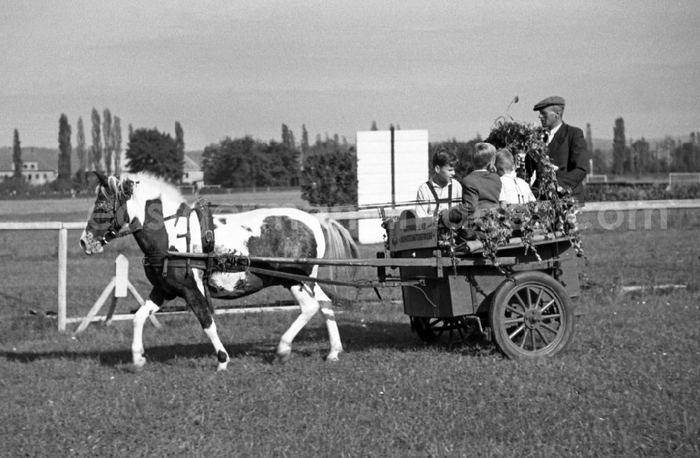 GDR picture archive: Dresden - Harvest wagon parade of horticultural and agricultural enterprises on the grounds of the Dresden-Seidnitz racecourse in Dresden in the state Saxony on the territory of the former GDR, German Democratic Republic