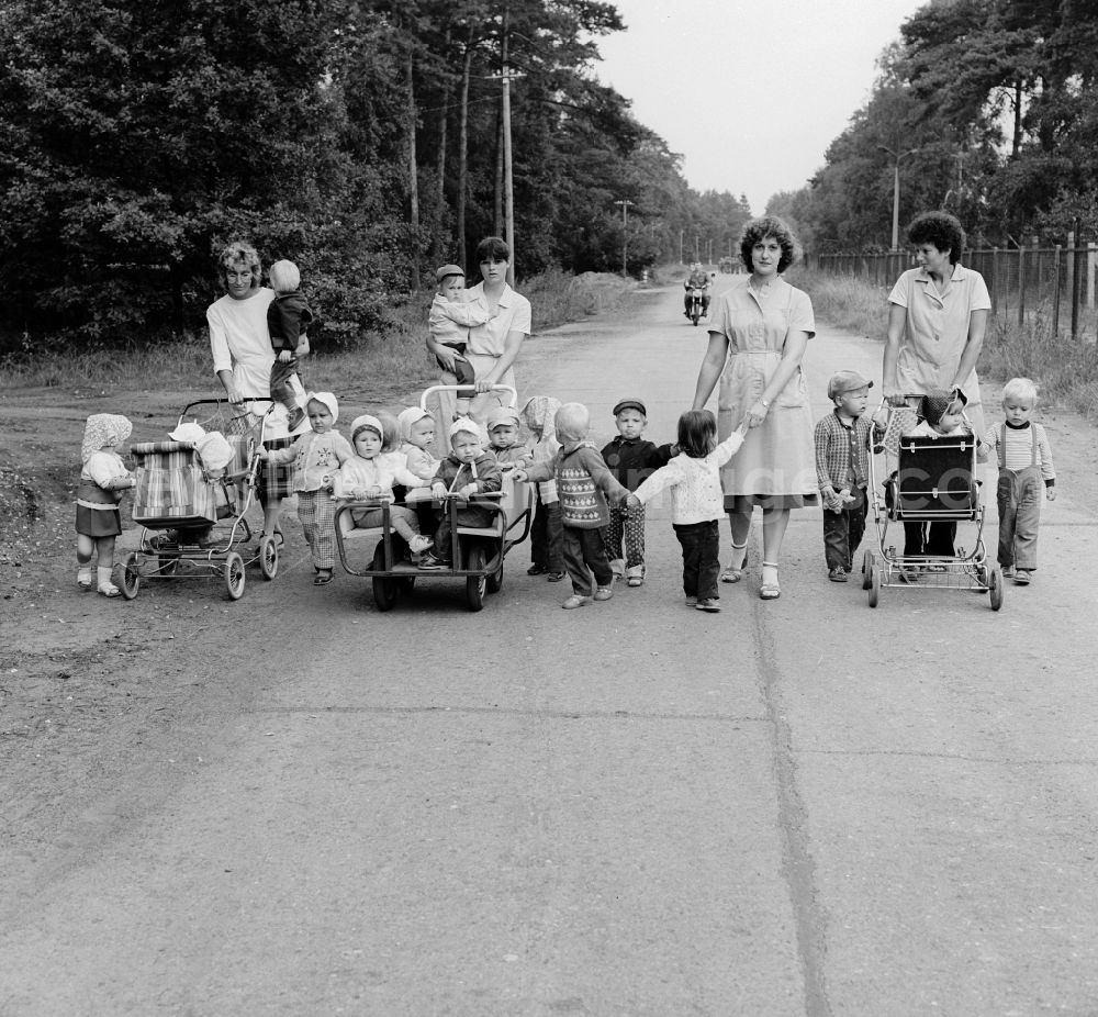 GDR picture archive: Prora - Educators take the nursery school children for a walk in Prora in the federal state Mecklenburg-Vorpommern on the territory of the former GDR, German Democratic Republic