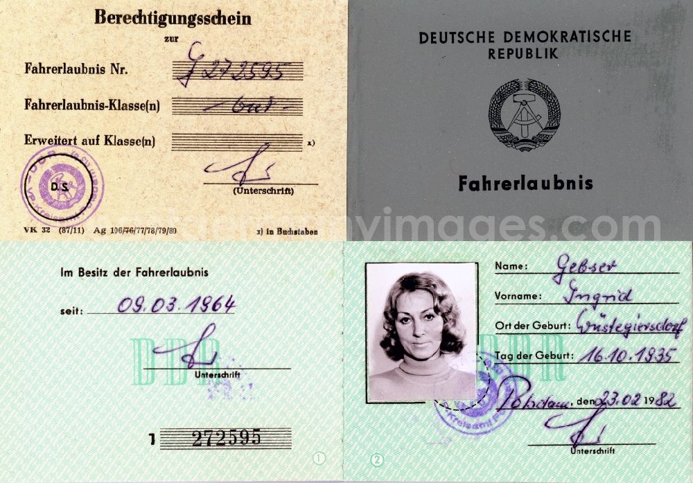 Potsdam: Reproduction Driver's license issued in the district Babelsberg in Potsdam in the state Brandenburg on the territory of the former GDR, German Democratic Republic