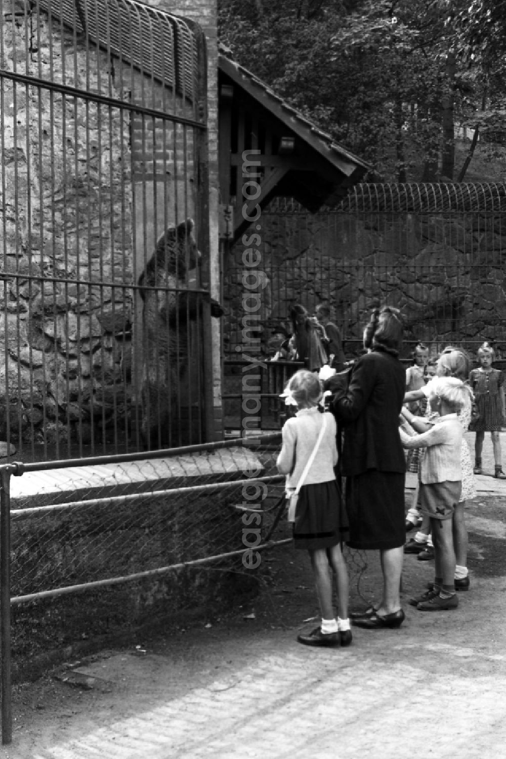 GDR picture archive: Halle (Saale) - Family excursion to the animal park in Halle (Saale) in the federal state Saxony-Anhalt in the area of the former GDR, German democratic republic. A mother stands with her children before the enclosure of the brown bears