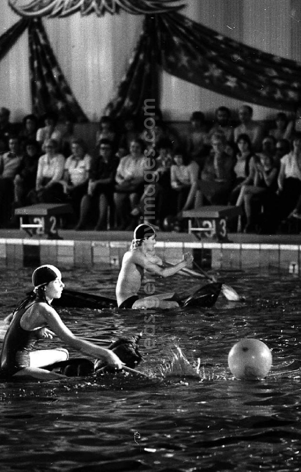 GDR photo archive: Potsdam (Brandenburg) - 08.02.1982 Fasching in der Schwimmhalle in Potsdam (Brandenburg) Umschlagnr.: 13
