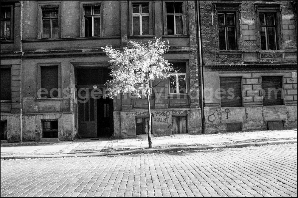 GDR photo archive: Berlin - Decaying plaster and masonry areas on the facade with a flowering tree as a contrast in the Prezlauer Berg district in Berlin East Berlin in the area of the former GDR, German Democratic Republic