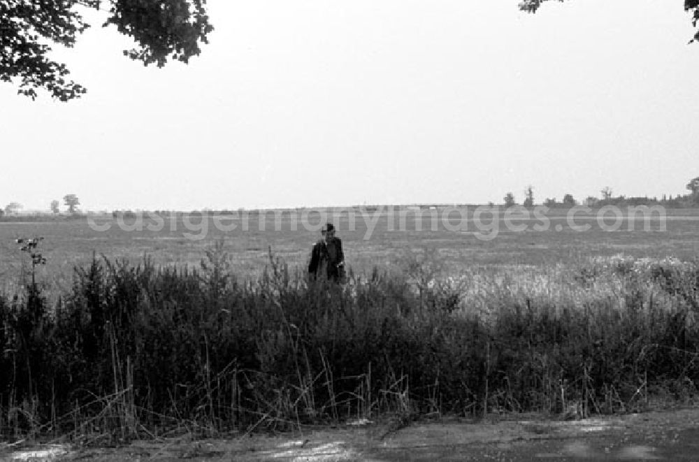 GDR image archive: Berlin-Wartenberg - Foto auf einem Feld der LPG 1.Mai in Berlin-Wartenberg.