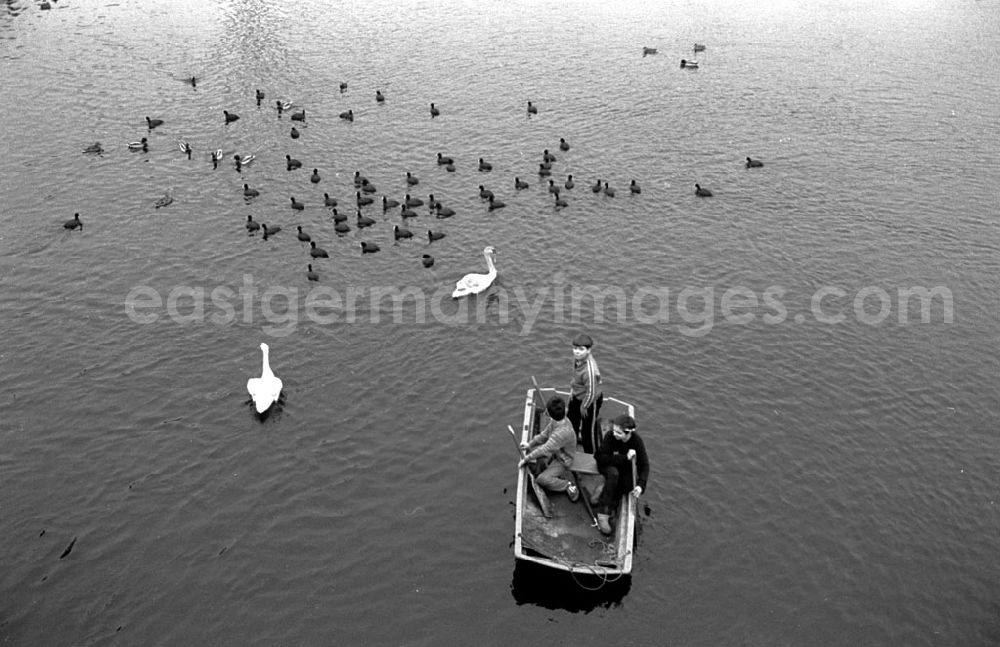 GDR photo archive: - Ferien auf der Havel Umschlagnummer: 7239