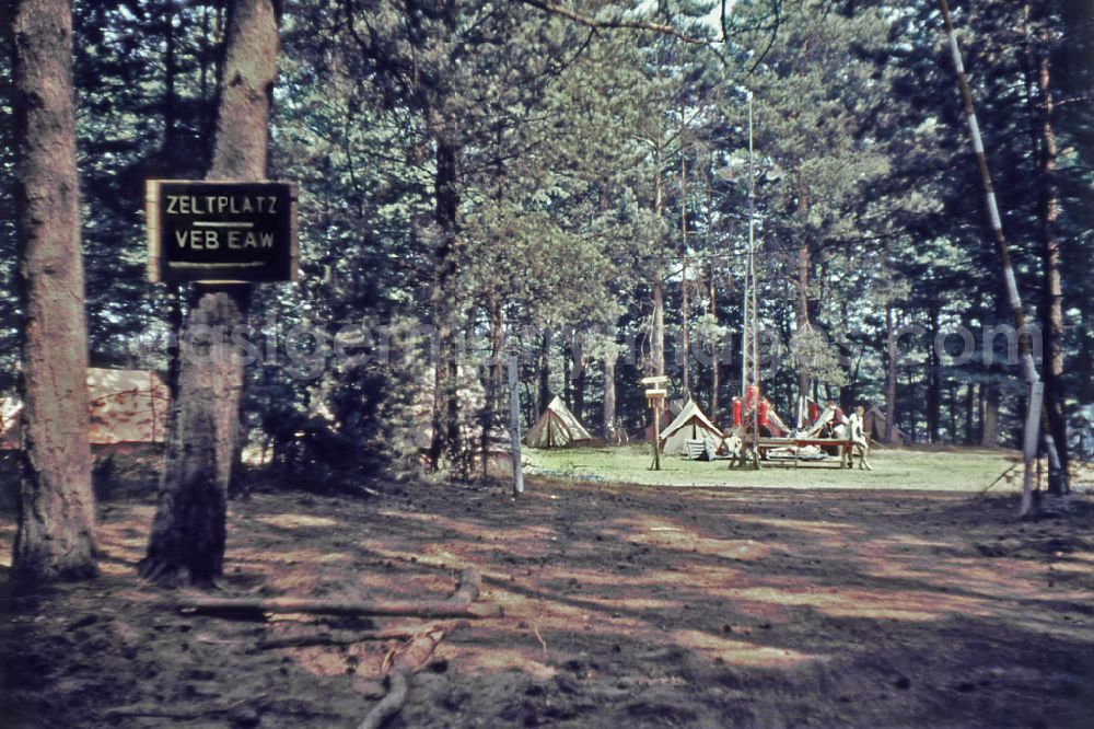 GDR photo archive: Menz - Summer camp operation with pupils and teenagers at a VEB EAW campsite in a forest clearing in Menz, Brandenburg on the territory of the former GDR, German Democratic Republic