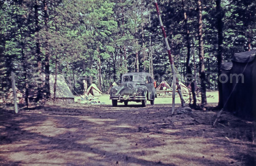 GDR picture archive: Menz - Summer camp operation with pupils and teenagers at a VEB EAW campsite in a forest clearing in Menz, Brandenburg on the territory of the former GDR, German Democratic Republic