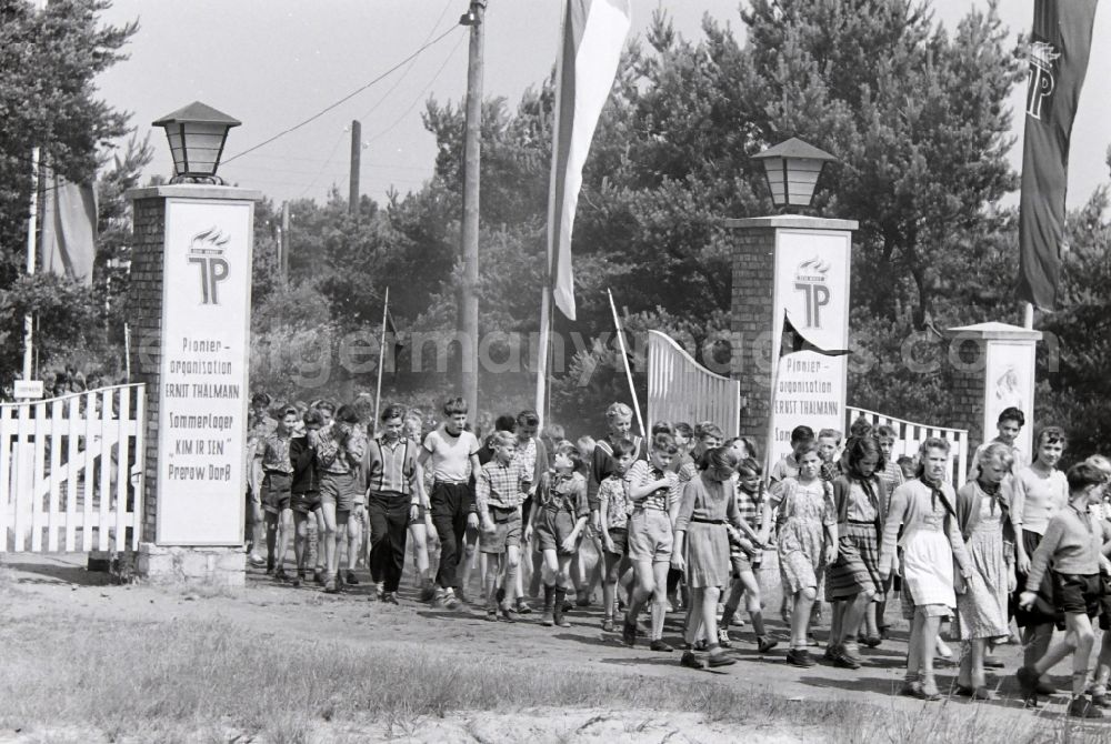 GDR image archive: Prerow - Day Appell in summer camp with students and youth in FDJ uniform with flags and banners in the summer camp Kim Ir Sen of the pioneer organization Ernst Thalmann in Prerow in the state Mecklenburg-Western Pomerania on the territory of the former GDR, German Democratic Republic