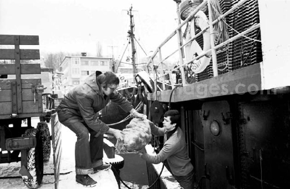 GDR picture archive: Saßnitz - Schiffsbesatzung beim beladen eines Schiffes im Hafen vom Fischkombinat. Arbeiter reicht anderen Arbeiter ein Sack Kartoffeln.