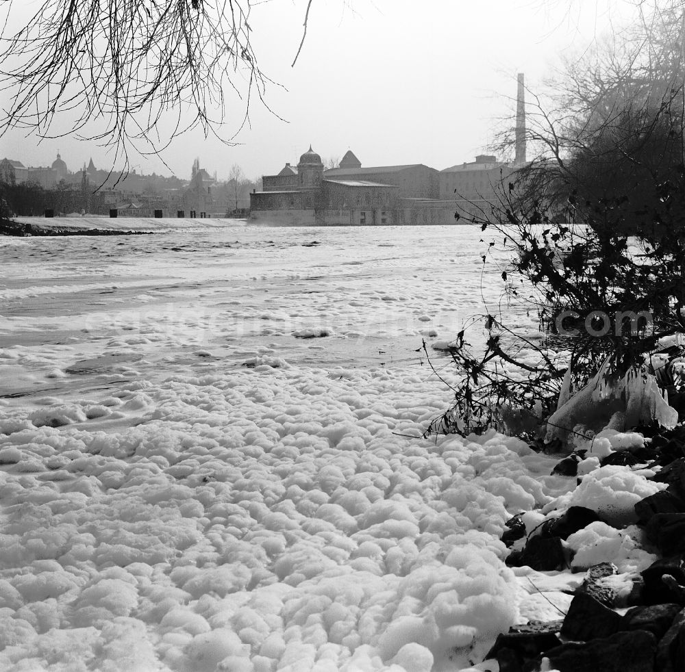 GDR photo archive: Bernburg (Saale) - River course and bank areas saale river foam carpet in Bernburg (Saale), Saxony-Anhalt on the territory of the former GDR, German Democratic Republic