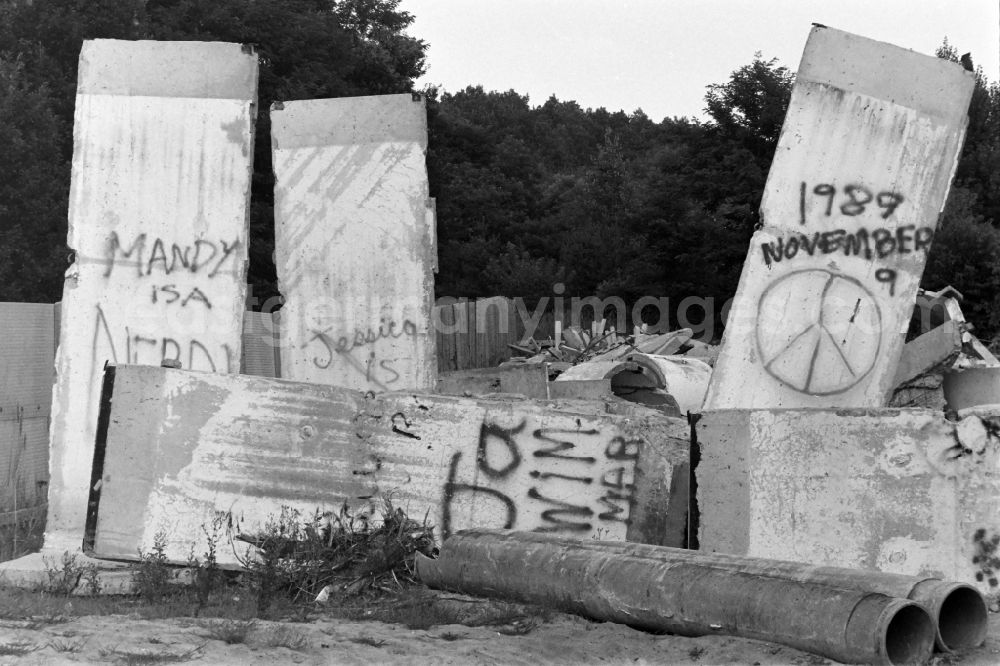 GDR picture archive: Berlin - Fragments of the decaying border fortifications and wall as well as security structures in the former border strip of the state border on a camp of the border troops in the district Steinstuecken in Berlin on the territory of the former GDR, German Democratic Republic