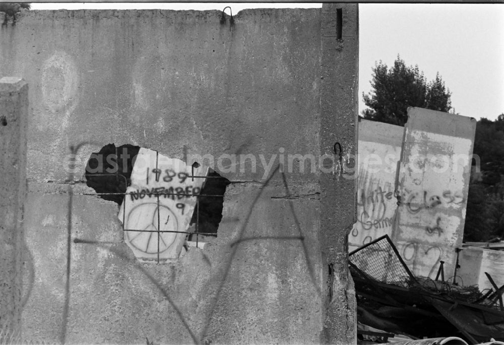 GDR photo archive: Berlin - Fragments of the decaying border fortifications and wall as well as security structures in the former border strip of the state border on a camp of the border troops in the district Steinstuecken in Berlin on the territory of the former GDR, German Democratic Republic