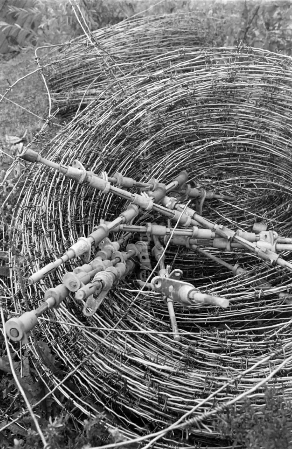 GDR image archive: Berlin - Barbed wire rolls of the barriers of the border fortifications and wall as well as security structures in the former blocking strip of the state border at a camp of the border troops in the Steinstuecken district in Berlin on the territory of the former GDR, German Democratic Republic