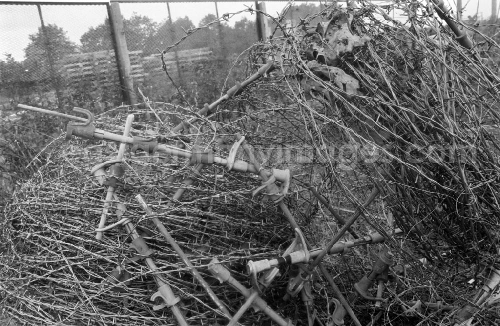 GDR image archive: Berlin - Fragments of the decaying expanded metal barriers of the border fortifications and wall as well as security structures in the former border strip of the state border on a camp site of the border troops in the district of Steinstuecken in Berlin on the territory of the former GDR, German Democratic Republic