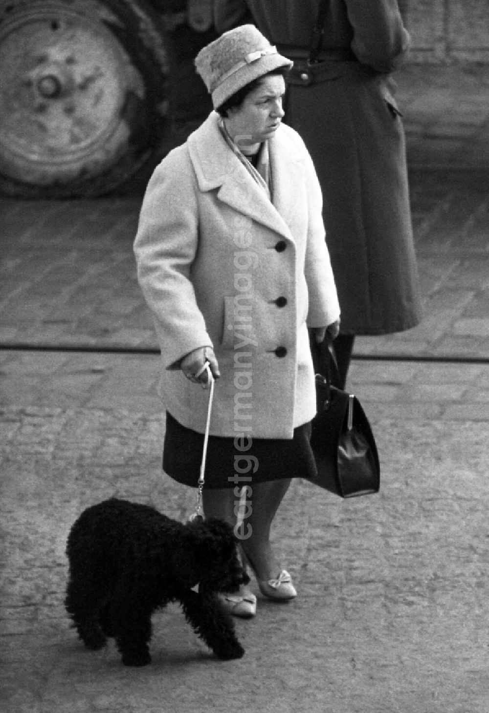 GDR picture archive: Berlin - Woman goes for a walk with her dog in Berlin in the area of the former GDR, German Democratic Republic