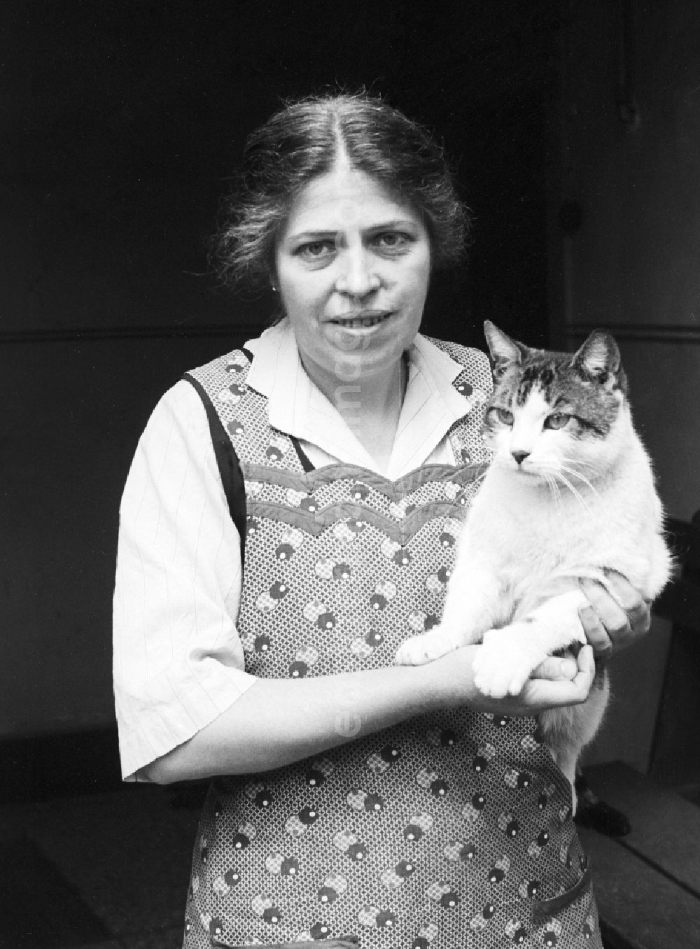 Arnstadt: A woman with striking features and smock apron holds a cat on the arm in Arnstadt in the federal state Thuringia in the area of the former GDR, German democratic republic