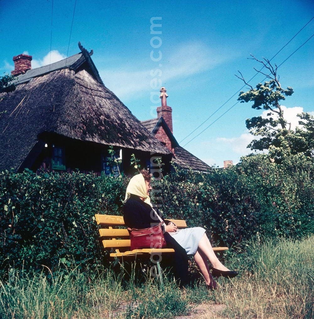 GDR picture archive: Ahrenshoop - A woman with headscarf sits on a yellow park-bench in Ahrenshoop in the federal state Mecklenburg-West Pomerania in the area of the former GDR, German democratic republic. In the background a Reetdach covered house