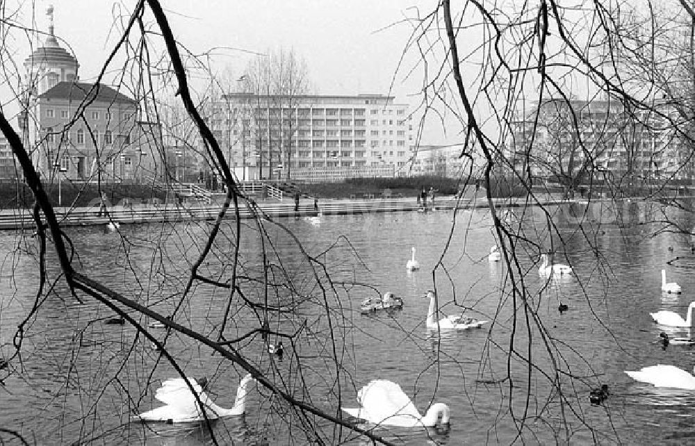 GDR photo archive: Potsdam (Brandenburg) - 22.03.1982 Freundschaftsinsel in Potsdam (Brandenburg) Umschlagnr.: 27