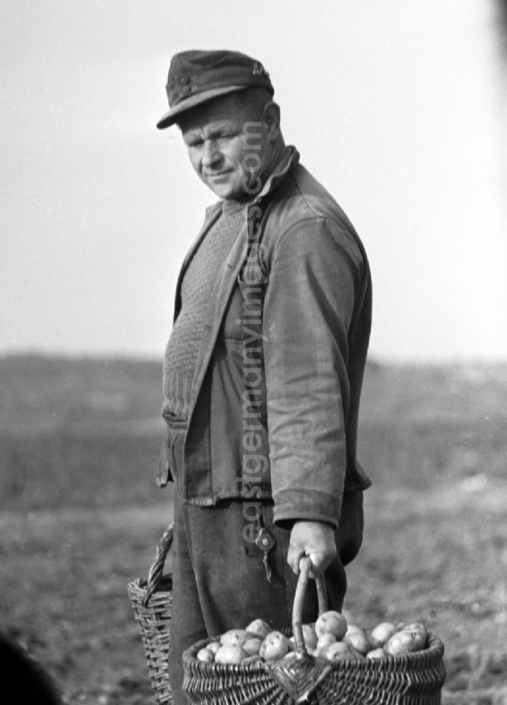 GDR picture archive: Freyburg - Porträt eines Bauern bei der Kartoffelernte auf einem Feld in der Nähe von Freyburg.