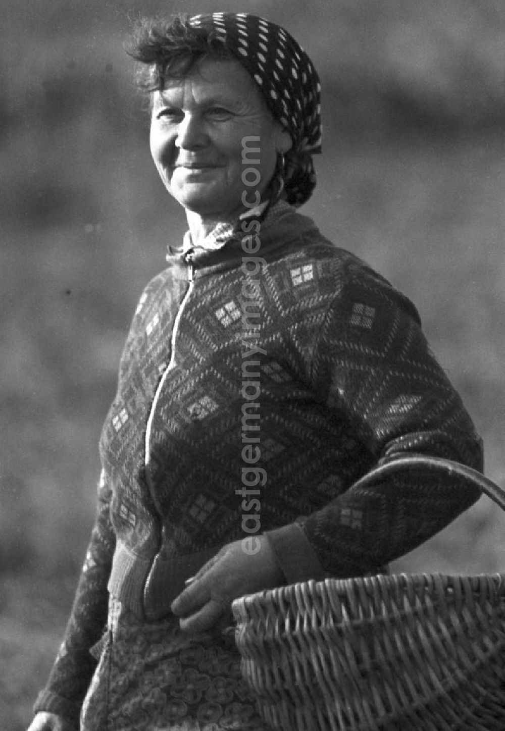 GDR image archive: Freyburg - Porträt einer Bäuerin bei der Kartoffelernte auf einem Feld in der Nähe von Freyburg.