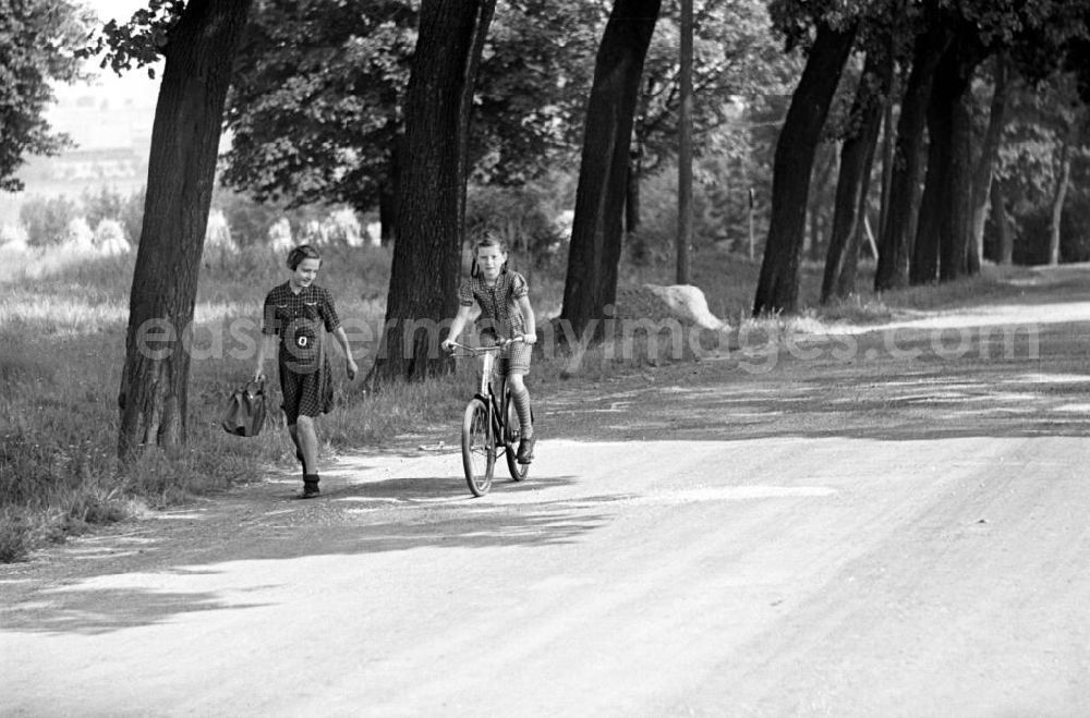 GDR image archive: Freyburg - Zwei Mädchen gehen auf einer Landstraße in der Nähe von Freyburg.